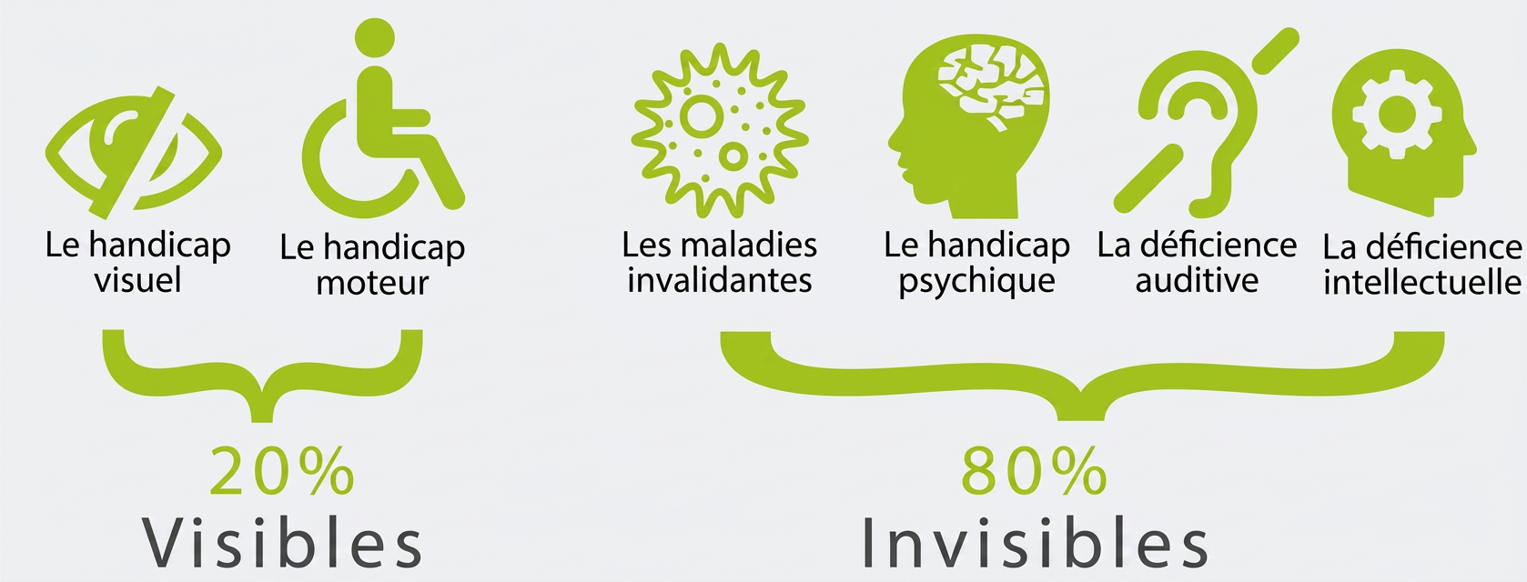 Handicap visible_invisible